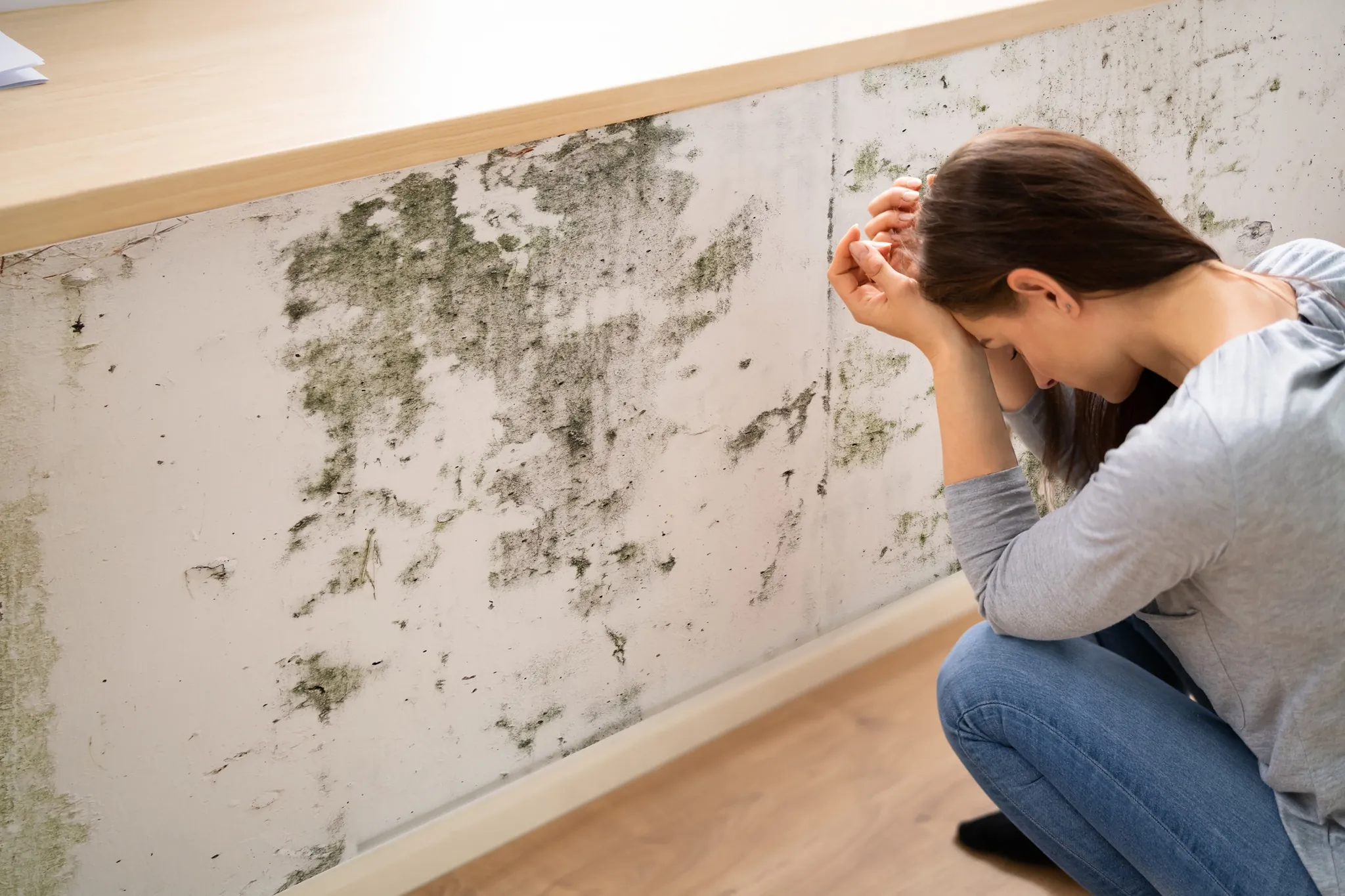 Mold Removal